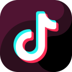 TikTok aged style accounts 2016 2022 email access included